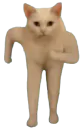 :ohtoituvasvoir: