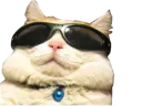:chat_trkl: