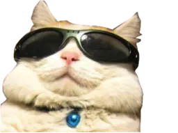 :chat_trkl: