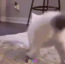 :chat-twerk: