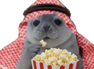 :phoquepopcornsaoudien: