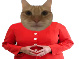 :chat_selection: