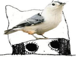 :nuagepiou: