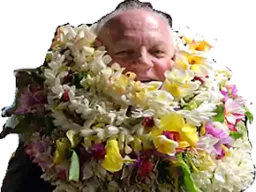 :asselivahine:
