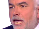 :praud-hurle: