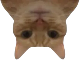 :Chatinverse:
