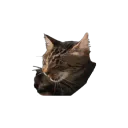 Bannerlord