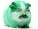:Hamster_vert:
