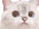 :circonspect: