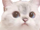 :circonspect: