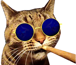 :Chatonquifume: