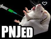 :rat_pnjed: