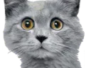 :jeune: