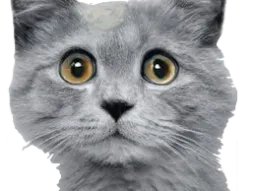 :jeune: