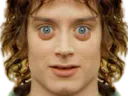 :frodon_drogue: