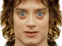 :frodon_drogue:
