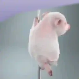 :Piggyturn: