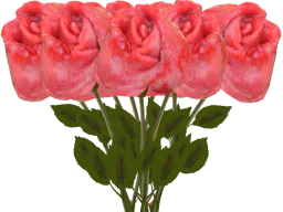 :50_roses: