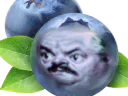 :Myrtille_risitas: