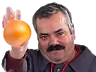 :risioignon2: