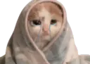 :Chaton_qui_pleure: