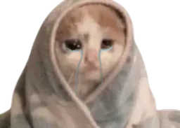 :Chaton_qui_pleure: