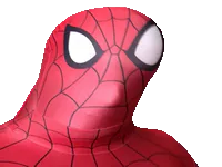 :Spideurla: