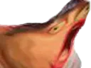 :gneuuu: