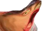 :gneuuu: