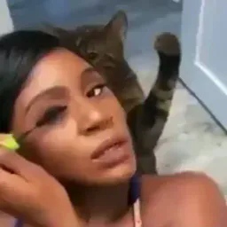 :Chattape: