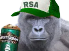 :Gorille_RSA: