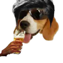 :Chien_marlou: