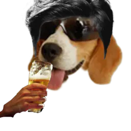 :Chien_marlou: