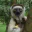Photo de profil de Lord2Laze