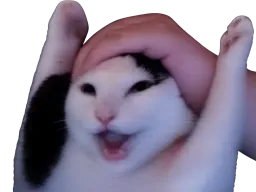 :chat_en_l_air: