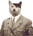 :ChatH: