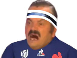 :rugbyrage2: