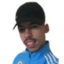 DzMalfaisant