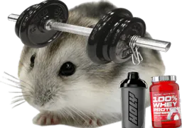 :Grospoids2merde: