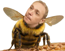:skeno_abeille: