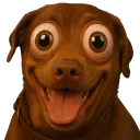 :teddideumeureplus: