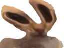 :chatalien: