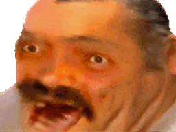 :risichatrip: