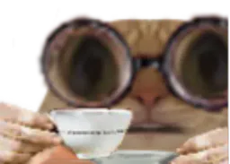 :Chat_tasse: