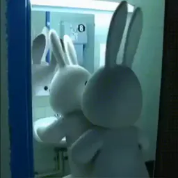 :lapin_baise: