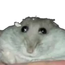 Hampter