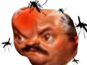 :risitasmoustique: