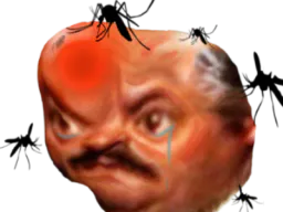 :risitasmoustique: