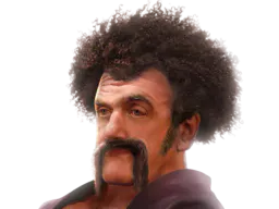 :Hercule_Prolo_Zoom: