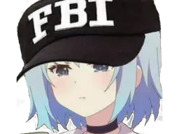 :waifu_fbi:
